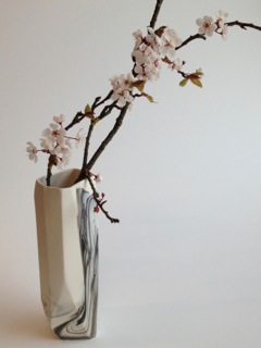 Carolina Peraca - 'Converse' Vases with blossom